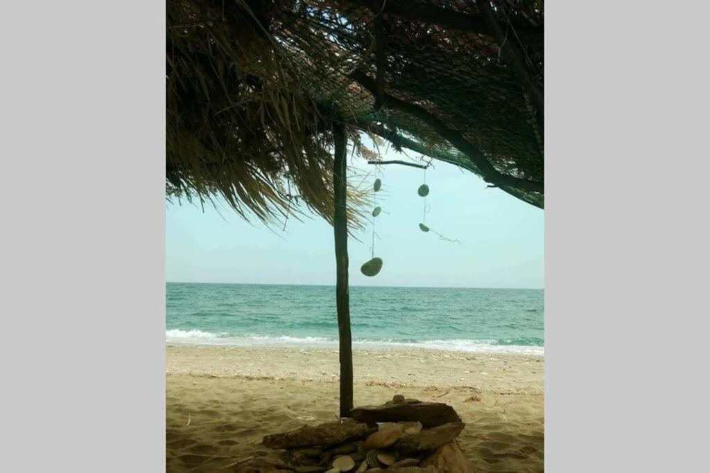 חורפטו Lost Paradise מראה חיצוני תמונה